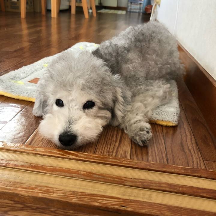 Ef611ba8 18e1 444f 96db 8c31347440f0 1573099638906