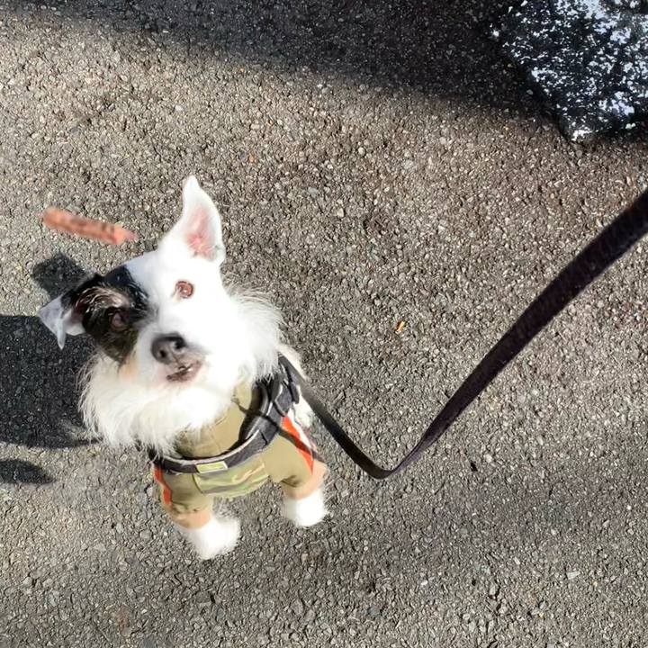 Ef6142d4 3b04 4699 89f3 70f80e1ed3e1 1739406865295