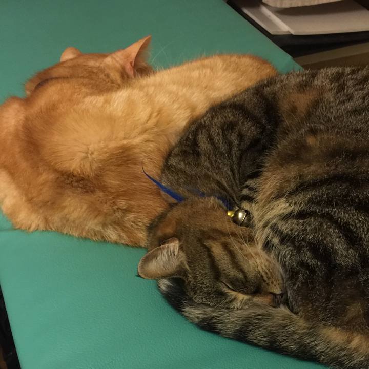 Ef61615f 6a0d 4578 8501 1590c92b46ef 1555494157923