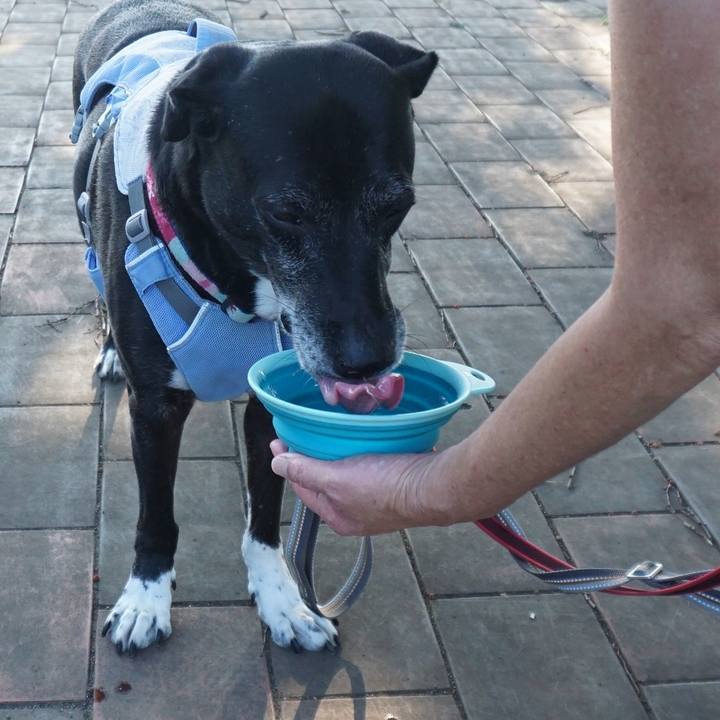 Ef61a380 ae52 47b9 a67f 2cf012fa2ec9 1755646873170