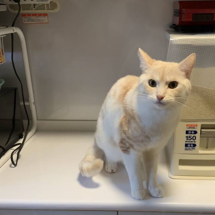 Ef61d190 2566 4b86 9470 ceee9824cdae 1671586938496