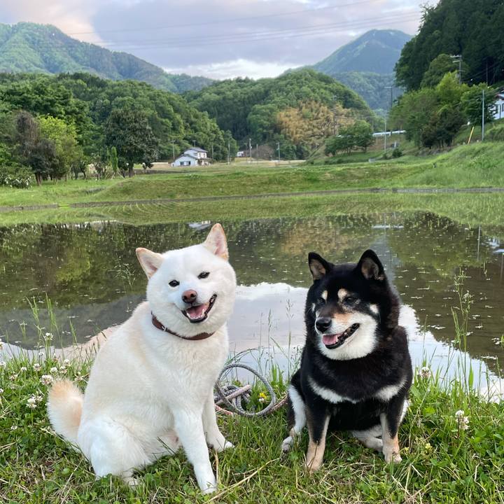 Ef61e1dd 4084 4794 9ae2 9045424619ca 1620903209666