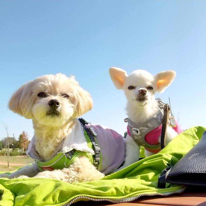 Ef622e16 8091 49a3 a6da b451062bc313 1573370402386