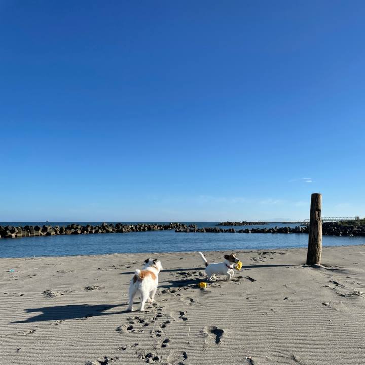 Ef622e99 0ecd 4092 b015 6216e691c23b 1632095990390