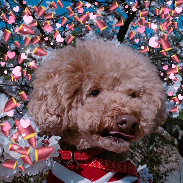 Ef625f00 1244 49ff 9a20 9e1ddbf40665 1554559062701