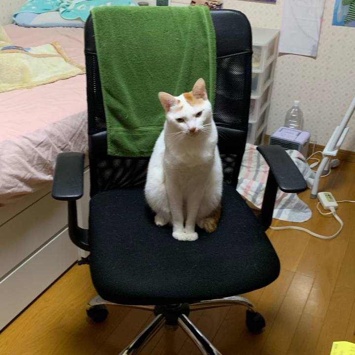 Ef627235 8946 43f1 b859 7ac729fcd1ac 1604744933845