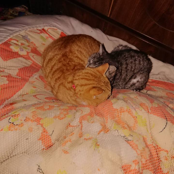 Ef62c4e8 f879 4a9f bbc1 ddaa6382a0f4 1577901060079