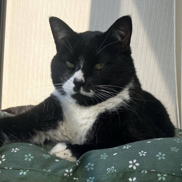 Ef62e165 67ae 4495 99e7 4a5637d1cf46 1699845979639