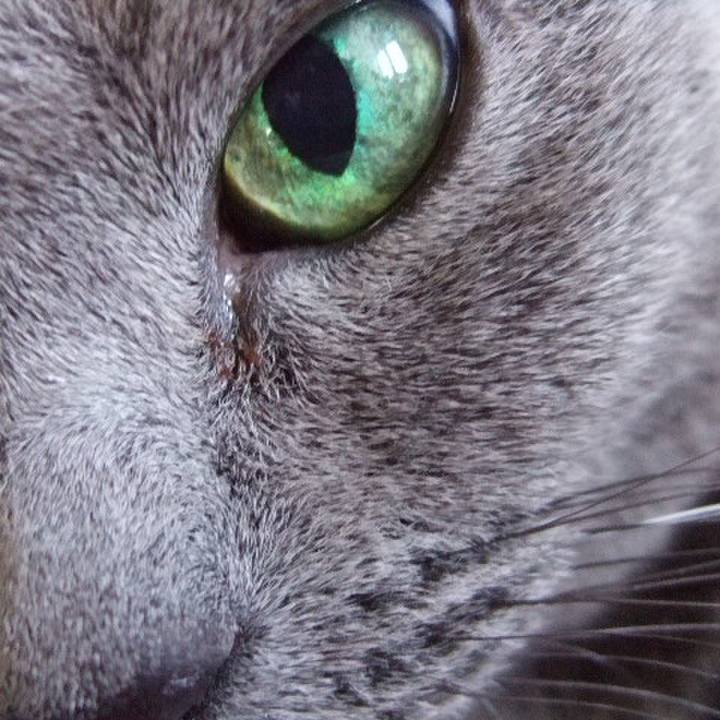 Ef6333fe b7d6 4cce 9298 fd696fc300d0 1513404256203