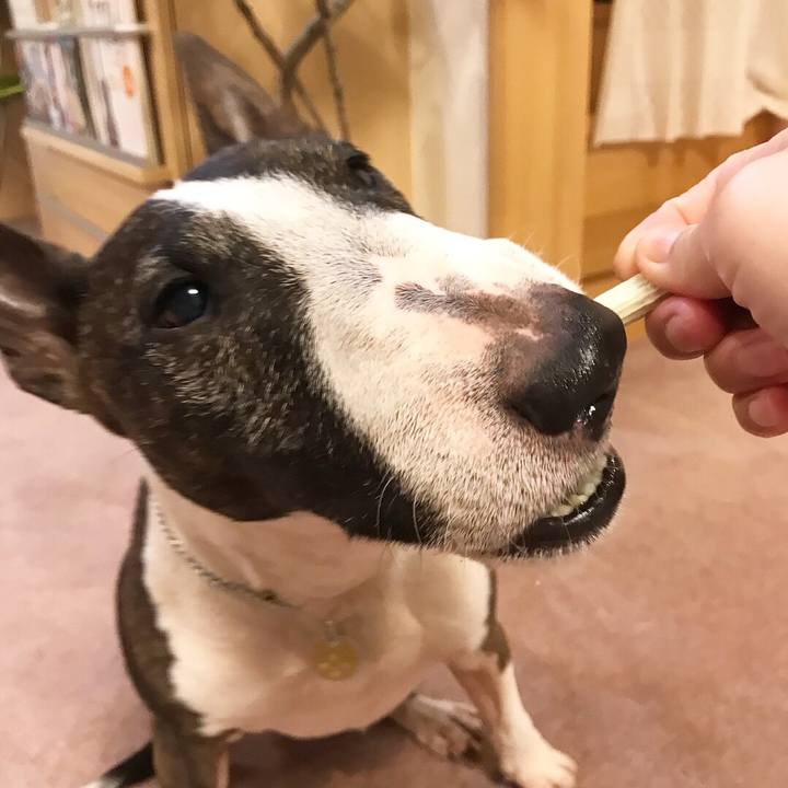 Ef633e2a f301 4260 b959 a80db59e1a18 1525260327182