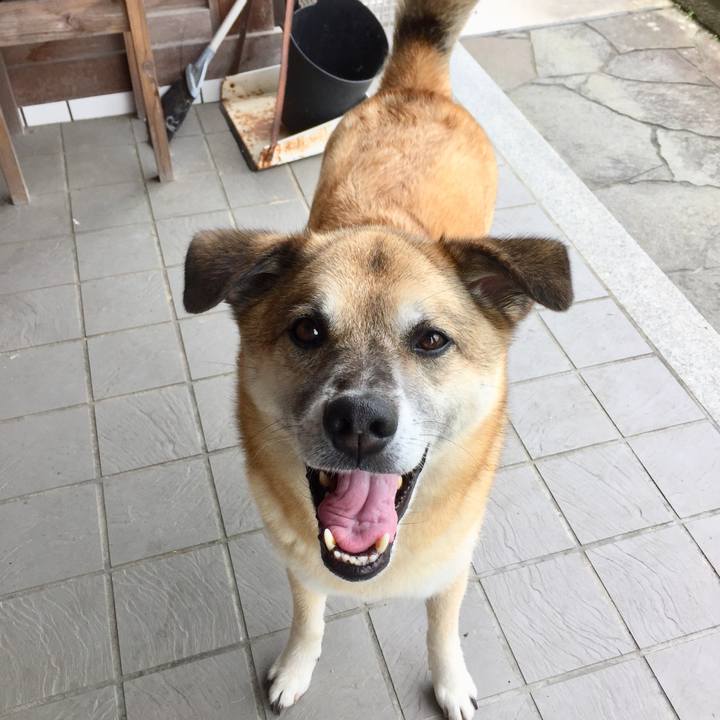 Ef6368f0 465e 4bea ba26 a697148b85d9 1563172065235