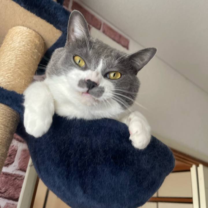 Ef63c17d fd06 4901 ab99 d47dbaefab0b 1696660017088