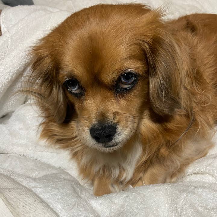 Ef63c5d1 7b4a 4976 9a00 d2bc6226765f 1670795871961