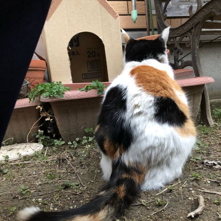 Ef63cb73 05e6 4228 a2ee 9df184c81151 1612391083575