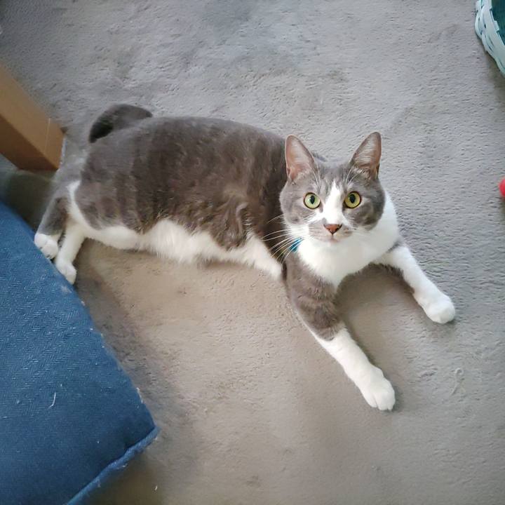 Ef63f04b e16a 4a7b 8cd4 5e4a23075f62 1657490588811