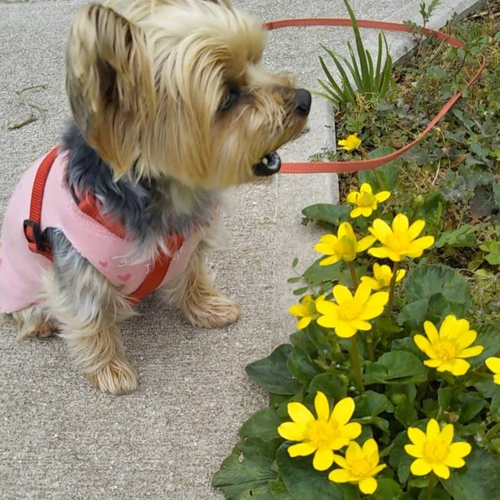 Ef643274 3ab0 4509 b23e 5e4d9b8e82e3 1647264497884