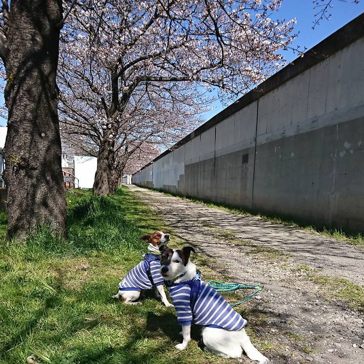 Ef643db5 250e 42c5 ab53 4d8055105275 1585012902881