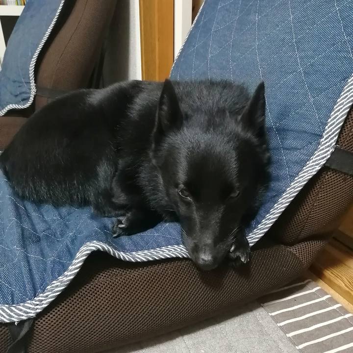 Ef64502e cafe 429b b112 fb1fd3dbc3de 1604408044504