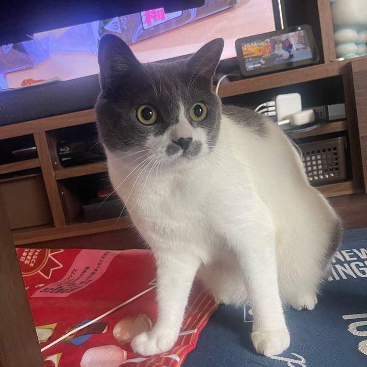 Ef648f68 120b 4008 93a4 d40fe492b904 1724202754545