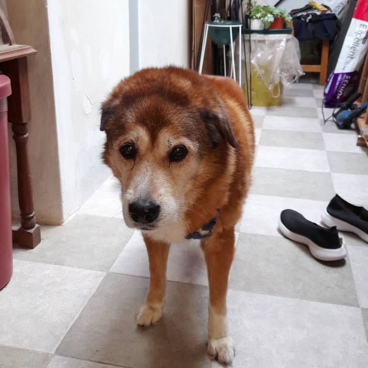 Ef64e026 b94e 470d b841 3861929052e6 1757411085905