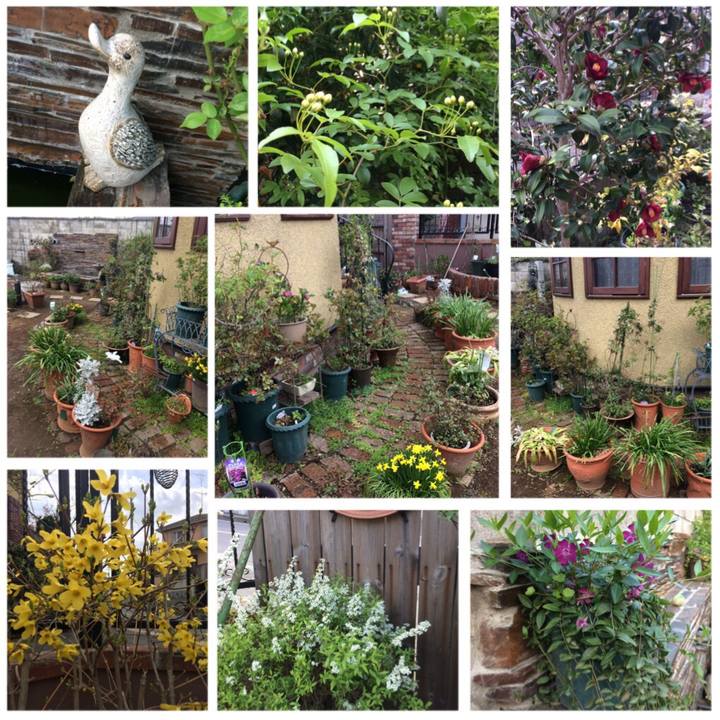 Ef64e698 7cd3 41c2 9707 a17e581167a4 1523178985527