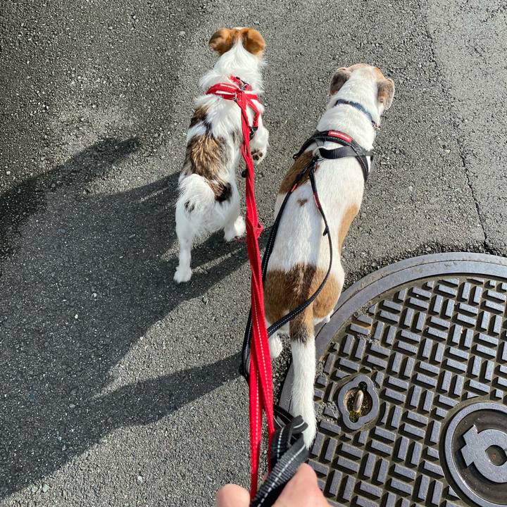 Ef650449 ed9f 4d30 83b0 216a2860f785 1629500989598