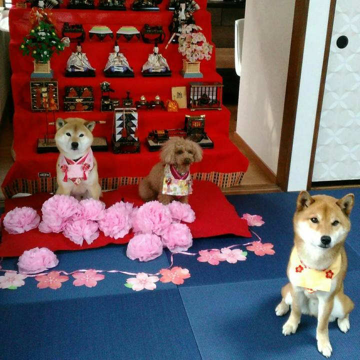 Ef65800e 0949 473f 9155 8aa5e8880eb5 1520175405260