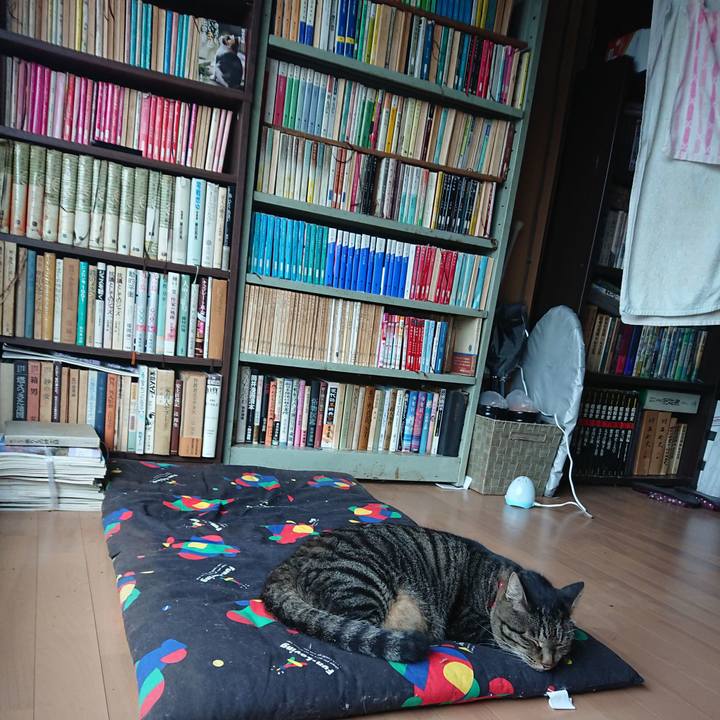 Ef65862e fb73 42bf a524 e818c9a09ad8 1663018290527