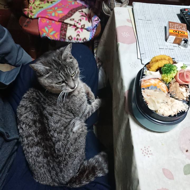 Ef65f191 43ad 4771 9354 56f9a8a07495 1577310910724