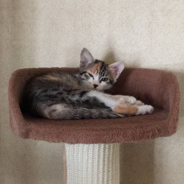 Ef6657fa 0406 4996 a432 b6526ebd39ca 1631488431575