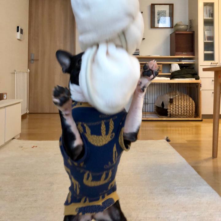 Ef6688df 0ea8 42cc 8749 ed893f971771 1521508720139