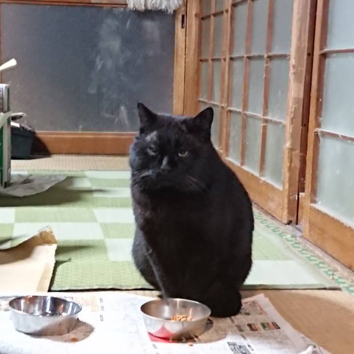 Ef668fa2 4dd0 4173 a0e9 9c29a0d5ec49 1615466904011