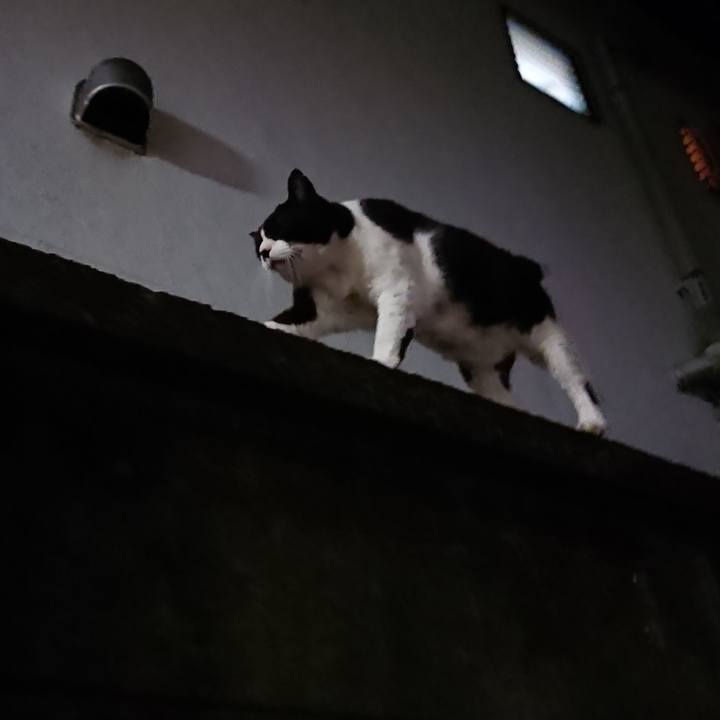 Ef66c80d fac6 436f a1dc 7dd892e2aaf5 1567813117094