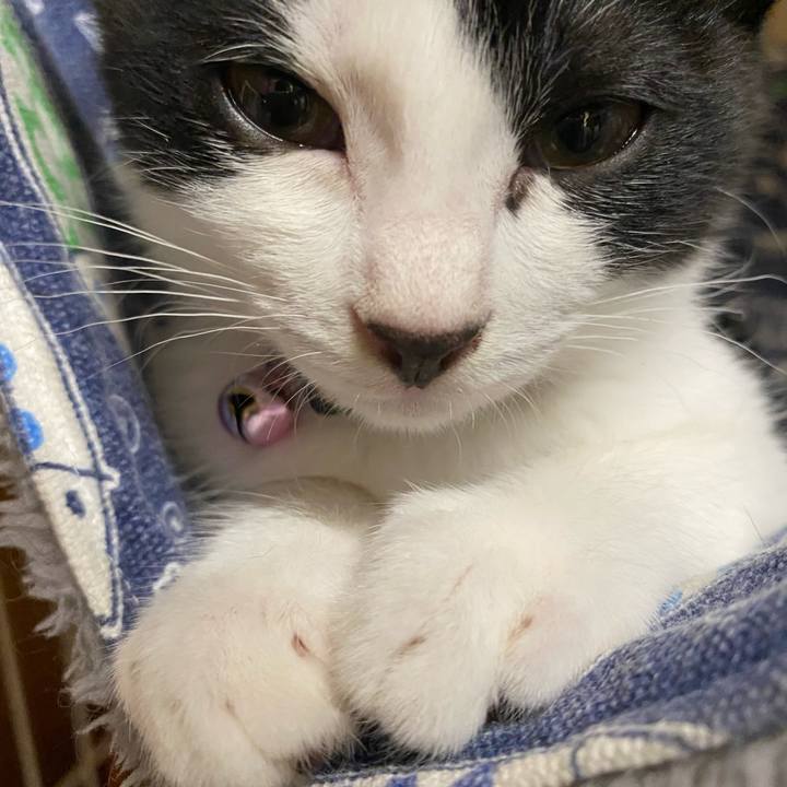 Ef66d12b 3d74 4982 980b edd10f10eab9 1627385489482