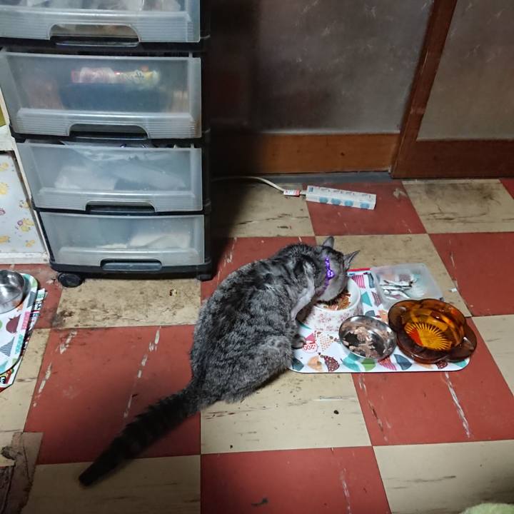 Ef66d933 b8a9 4ac8 a943 76b6c09da593 1587675913277