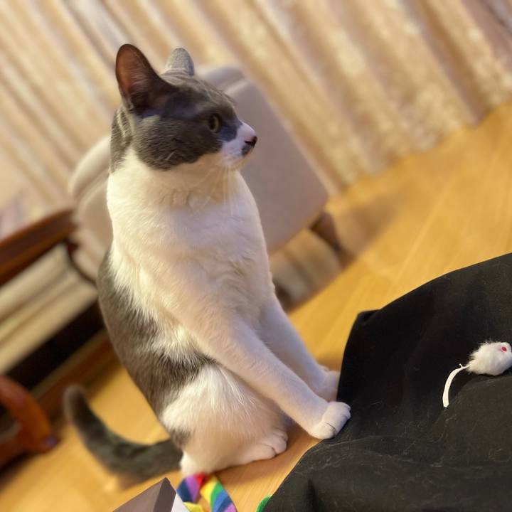 Ef66f125 3eb7 4f0f b92c 41c084e4417d 1636279035926