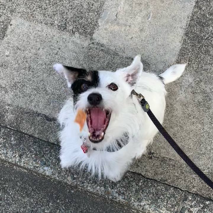 Ef66fd42 3efd 4bb9 a0c0 18e27d217437 1692486578234