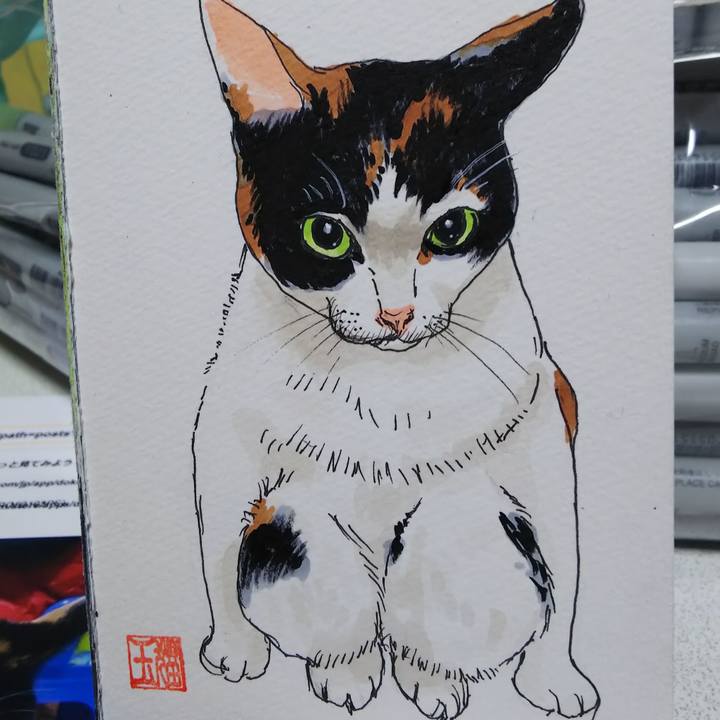 Ef672fda 428d 4b4a bbc1 559b92fa9d9f 1581817138290