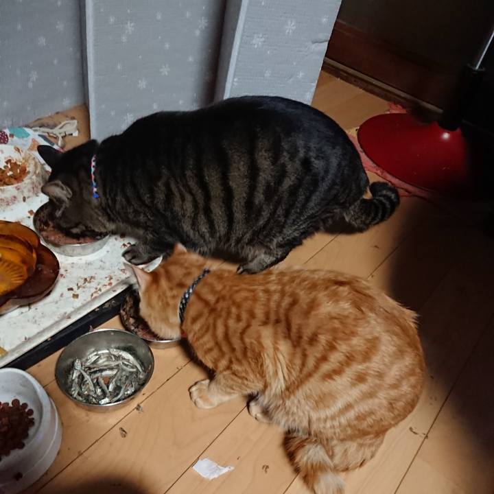 Ef6730af 5d0d 4fe2 a4fb 7b4b33dac503 1643058268792