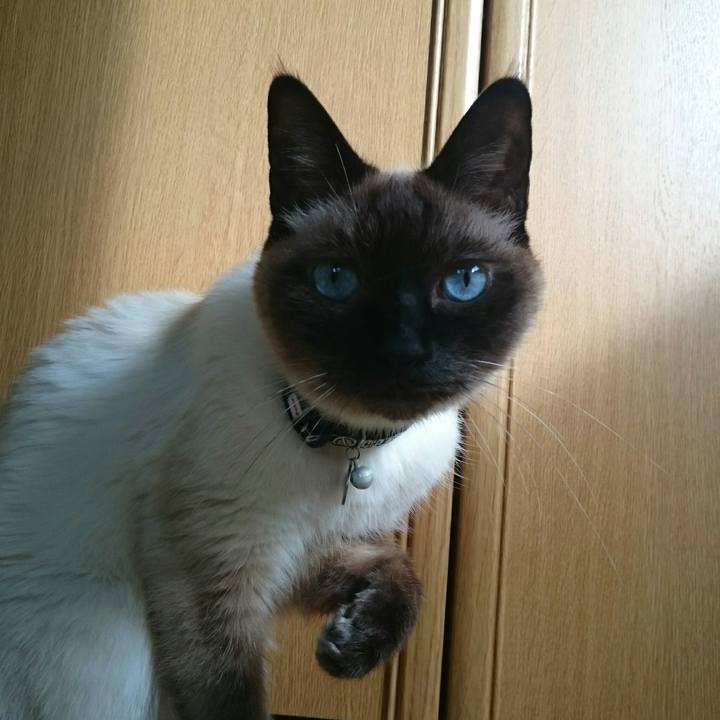 Ef67652c ab18 4b6f 81d5 f8caf27acab3 1527484420850