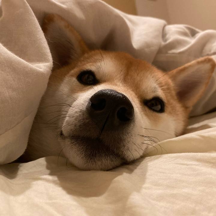 Ef67cae1 ed0f 4173 ac45 d75eee5a99c6 1672266775201