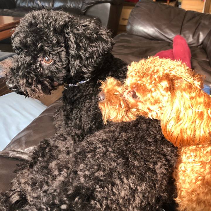 Ef67e48d 525e 4e47 896b 4e88526e750a 1520131699806