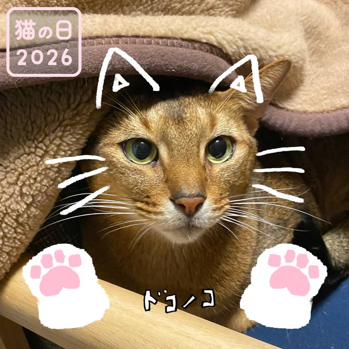 Ef67eef9 def2 4178 a3a1 a3c038f94097 1771754979106