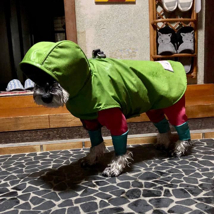 Ef67f936 205b 4272 bb19 6987793693e1 1704020019435