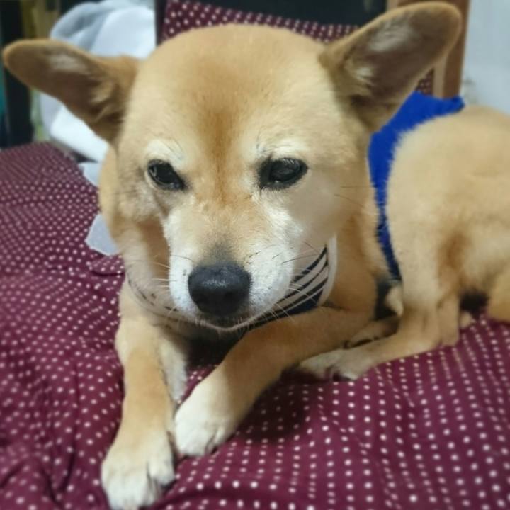 Ef67fe6f 5869 4b34 8e7a b3e2383ac940 1537621834708