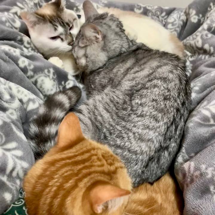 Ef681bfa 4103 427e 9911 1c47bb5c2714 1587774727527