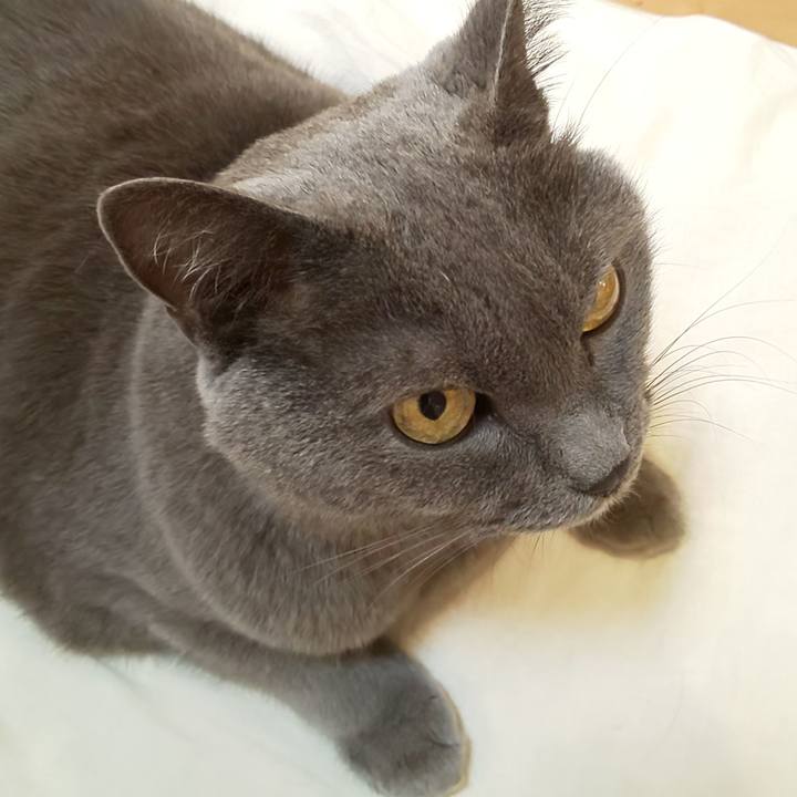 Ef6895e9 d4de 4b62 9ba4 505646c46e93 1760745942861