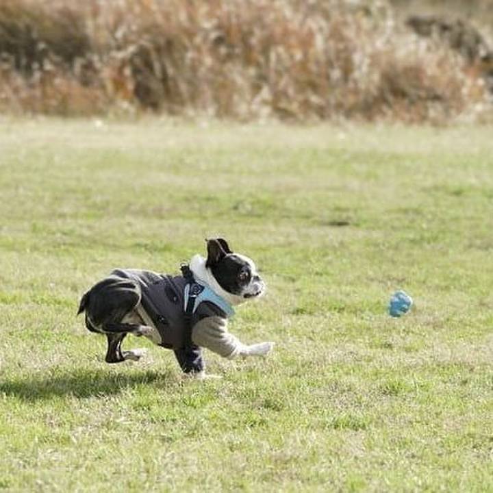 Ef68a925 97cd 4203 a216 38ab737452e1 1546154629638