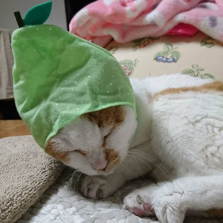 Ef68c7f6 4a6e 496e a0e5 9b8dbd1e5104 1566467269591