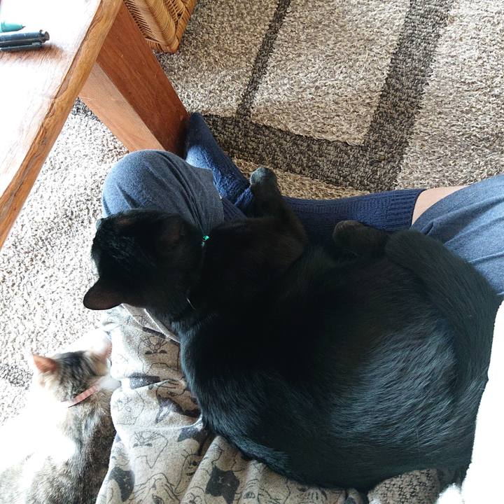 Ef690ea9 c140 4b3f b71a dbfe7c996503 1551575338477